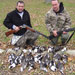 ducks