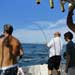 Nice Catch!