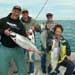 Niagara River Walley's